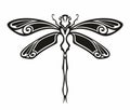 Black and white dragonfly hand drawn graphic illustration Royalty Free Stock Photo