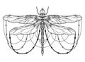 Black and white dragonfly illustration with boho pattern