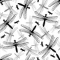 Black And White Dragonfly Seamless Vector Pattern Isolated On White Background