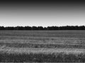 Black and white dramatic field landscape background Royalty Free Stock Photo