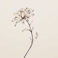 Ethereal Minimalism: Handdrawn Flower Illustration In Ming Dynasty Style