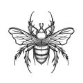 A black and white drawing of a bug with a horned head and long legs for your design Royalty Free Stock Photo