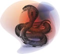 Vintage drawing of a cobra snake transparent abstract shapes