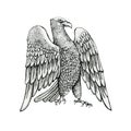 black and white drawing of an eagle, ink illustration, bird of prey