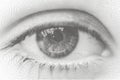 Black and white drawing of eye Royalty Free Stock Photo