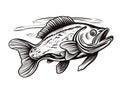 A Black And White Drawing Of A Fish - Walleye fish sign on white background
