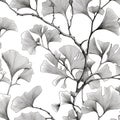 Black and white drawing of ginkgo leaves