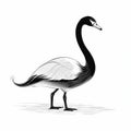 Minimalist Black And White Swan Drawing With Naturalistic Shadows Royalty Free Stock Photo