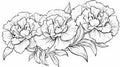 Elegant Peonies Coloring Pages With Ottoman Art Influence