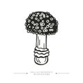 Black and white drawing of a hallucinogenic mushroom. A stylized image of a psilocybin mushroom. Vector illustration