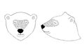 Black and white drawing of the head of a bear in the front and profile.