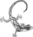 Lizard gecko in the style of zentangle