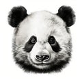 Realistic Panda Bear Head Illustration For Sale