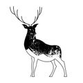 Black and white drawing of a proud reindeer Royalty Free Stock Photo