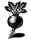 A black and white drawing of a radish Royalty Free Stock Photo