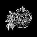 Black and white drawing of a rose tattoo. Silhouette of branch with flowers of roses and leaves