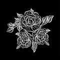 Black and white drawing of a rose tattoo. Silhouette of branch with flowers of roses and leaves