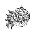 Black and white drawing of a rose tattoo. Silhouette of branch with flowers of roses and leaves