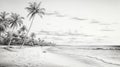 Realistic Black And White Palm Tree Drawing On Beach