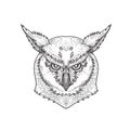 Head of Angry Great Horned Owl Tiger Owl or Hoot Owl Front Black and White Drawing Royalty Free Stock Photo
