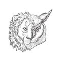 Head of Half Lion and Half Great Horned Owl Tiger Owl or Hoot Owl Front View Black and White Drawing Royalty Free Stock Photo