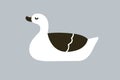 Black and white duck in doodle Scandinavian style. Cute adorable bird floating. Water animal, poultry, side view. Scandi