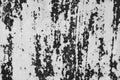 Black and white dust and Scratched Textured Backgrounds with spa Royalty Free Stock Photo