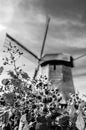 Black and white Dutch windmill Royalty Free Stock Photo