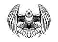 Black and white eagle vector in high retailed style