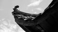 Black and white eaves of China