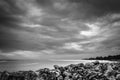 Black and white edit. Dramatic stormy hurricane clouds along Caribbean island coastline. Royalty Free Stock Photo