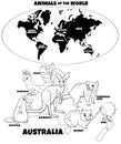 Educational illustration of Australian animals color book Royalty Free Stock Photo