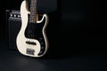 Black and white electric bass guitar, hard case
