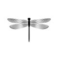 Black and white elegant dragonfly insect, vector