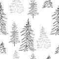 Elegant outline drawing of pine tree seamless pattern. Vector illustration. Royalty Free Stock Photo