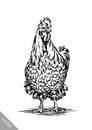 Black and white engrave chicken illustration Royalty Free Stock Photo