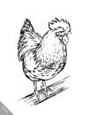 Black and white engrave chicken illustration