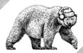 Black and white engrave isolated bear illustration