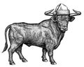 Black and white engrave isolated bull illustration