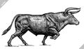 Black and white engrave isolated bull vector illustration