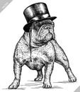 Black And White Engrave Isolated Bulldog Vector Illustration