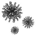 Black and white engrave isolated coronavirus illustration