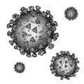 Black and white engrave isolated coronavirus illustration