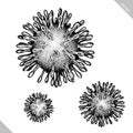 Black and white engrave isolated coronavirus vector illustration