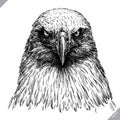 Black and white engrave isolated eagle vector illustration Royalty Free Stock Photo