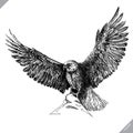 Black and white engrave isolated eagle vector illustration Royalty Free Stock Photo