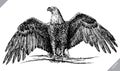 Black and white engrave isolated eagle vector illustration