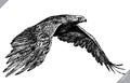 Black and white engrave isolated eagle vector illustration Royalty Free Stock Photo