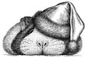 black and white engrave isolated guinea pig illustration