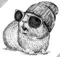 black and white engrave isolated guinea pig vector illustration Royalty Free Stock Photo